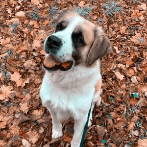 Meet your Posher, Ethan